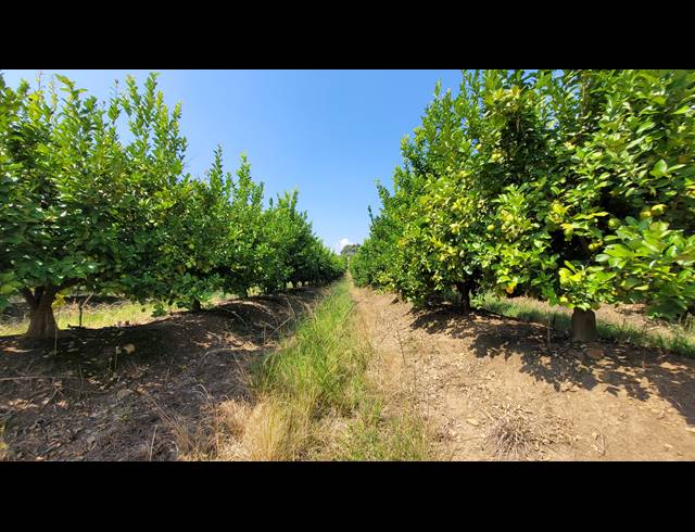 135HA FARM FOR SALE IN NELSPRUIT RURAL